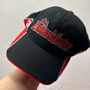 NWT Vintage Dale Earnhardt The Intimidator #3 NASCAR Dad Hat Cap